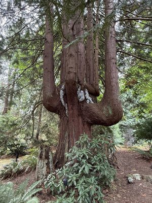 Matzke Fine Art Gallery and Sculpture Park by null