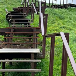 Mount Eden Domain