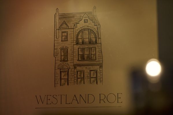 Westland Roe by null