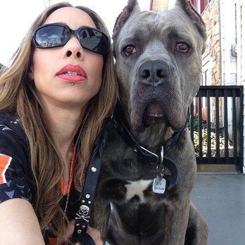 Berkeley Dog & Cat Hospital - Arcadius & I! RIP - Veterinarians Near Me - Berkeley, California Berkeley Dog & Cat Hospital - Arcadius & I! RIP - Veterinarians Near Me - Berkeley, California