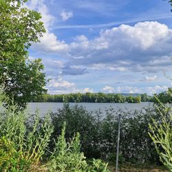 Rhein Pavillon da Nico - Ausblick