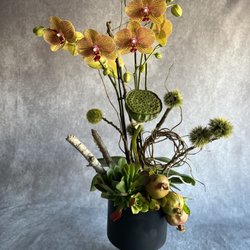 Mona Floral Design - Orchid arrangement with succulents, pomegranates, lotus pods, and natural branches, all set in a sleek black base for a bold and organic loo