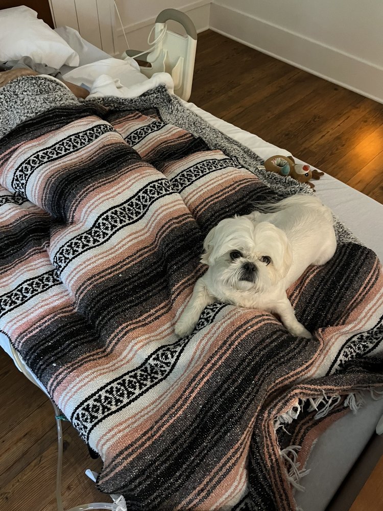 Saad Healthcare - grief counselor in Mobile, AL