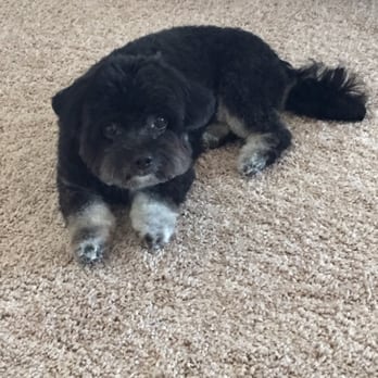 Paw Spa - Pet Groomers Near Me - Hesperia, California Paw Spa - Pet Groomers Near Me - Hesperia, California