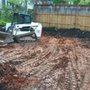 Photo of Burke Tree Services