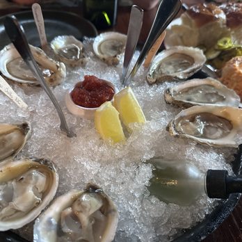 Bar at Husk - Oysters - Cocktail Bars Near Me - Charleston, South Carolina