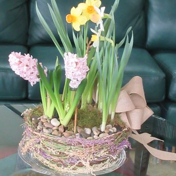 Johnson Floral & Decor - Spring Bulb Arrangement - Blooming bulbs set in soil/moss. Water while in season. Save bulbs to plant in garden for next Spring. - Florists Near Me - Boise, Idaho Johnson Floral & Decor - Spring Bulb Arrangement - Blooming bulbs set in soil/moss. Water while in season. Save bulbs to plant in garden for next Spring. - Florists Near Me - Boise, Idaho