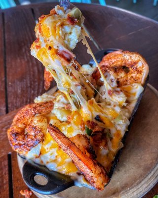 The Dive Oyster Bar by null