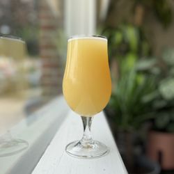 Pillow & Oats Brewing