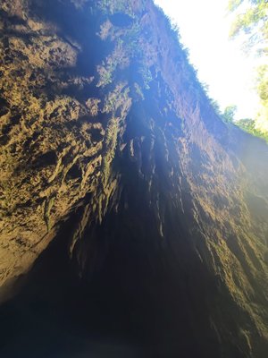 Parque Nacional de las Cavernas del Río Camuy by null