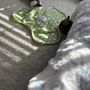 Photo of King Street Cats