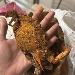 Liberty Seafood - THEY CHARGED ME FOR LARGE YET THESE ARE SMALL CRABS