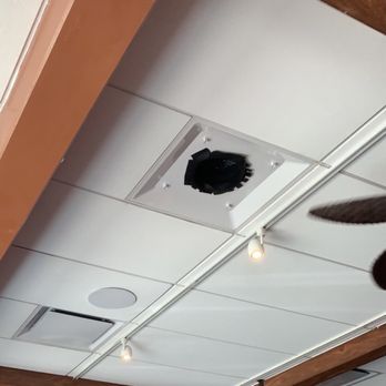 Clear Sky Cafe - Ceiling at breakfast - New American Near Me - Clearwater, Florida
