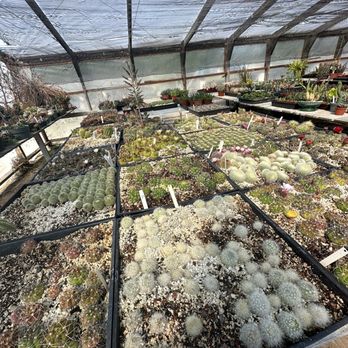 Lone Pine Gardens - Nurseries & Gardening Near Me - Sebastopol, California