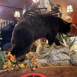 Bratton House Antiques