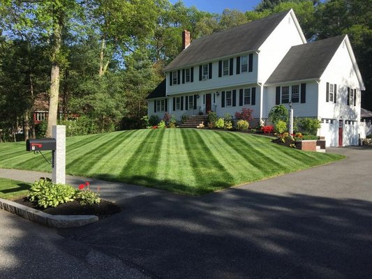 Landscaping Services - Are you thinking of giving your garden a new look? Then you are in the right place. No matter what you have in mind, our professionals will make it happen. We have more than five years of experience in this type of project. Call us today and get a free estimate.