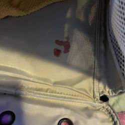 Georgia House Rabbit Society - Bloody paw aftermath :(
