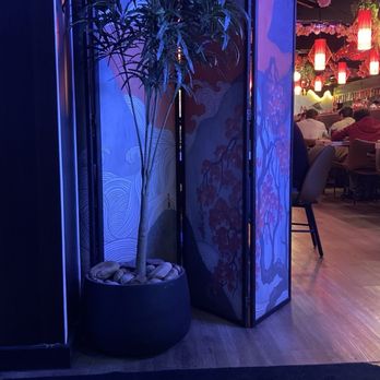 Machi Sushi - Sushi Bars Near Me - Austin, Texas
