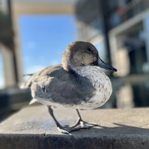 IRELAND’S OWN / JAGERHAUS PUB - Updated July 2024 - 190 Photos & 122