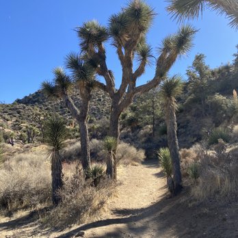 High View Nature Trail - Hiking Near Me - Yucca Valley, California