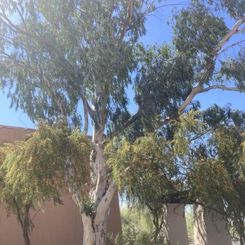 S’edav Va’aki Museum - Museums Near Me - Phoenix, Arizona