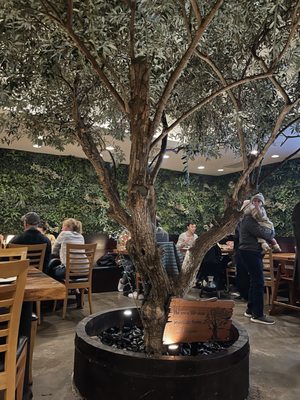 HINODEYA Ramen & Bar Chestnut by null