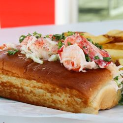 Sea Island Shrimp House - Limited Time Special! Lobster Roll served with two sides!