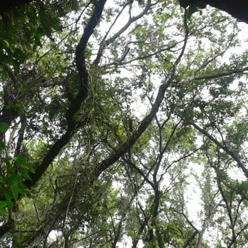 A.D. Barnes Park - There's supposed to be a gigantic spider there... :/ Trust me, it's there! - Parks Near Me - Miami, Florida
