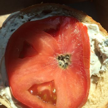 Einstein Bros. Bagels - Mold we found in my husband's tomato. How did no one notice this?!? - Bagels Near Me - Cedar Park, Texas Einstein Bros. Bagels - Mold we found in my husband's tomato. How did no one notice this?!? - Bagels Near Me - Cedar Park, Texas
