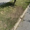 Busy Beaver Lawn & Garden gift card