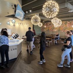 Feng Cha-Chula Vista - Nov 2023: interior vibe
