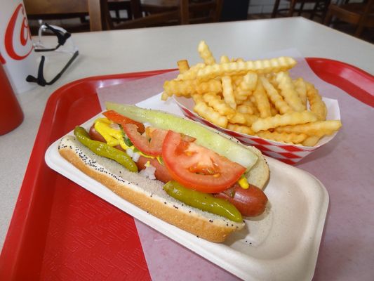 Wrigleyville Dogs by null