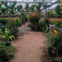 Nelson Greenhouses