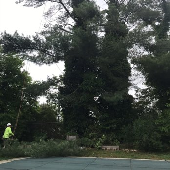 Figuemax Tree Service - Right before . Very fist branch down - Snow Removal Near Me Figuemax Tree Service - Right before . Very fist branch down - Snow Removal Near Me