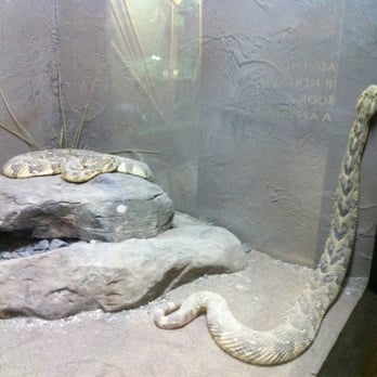Reptilia - Zoos Near Me - Concord, Ontario Reptilia - Zoos Near Me - Concord, Ontario