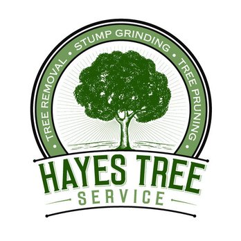 Hayes Tree Care - a logo for a tree service company - Tree Services Near Me - Brookfield, Massachusetts