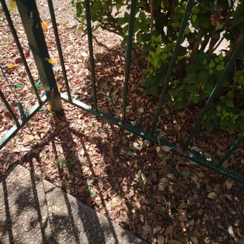 Greener Grass Lawn Company - a green gate and leaves - Landscaping Near Me - Live Oak, Texas Greener Grass Lawn Company - a green gate and leaves - Landscaping Near Me - Live Oak, Texas