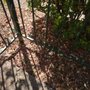 Photo of Greener Grass Lawn Company