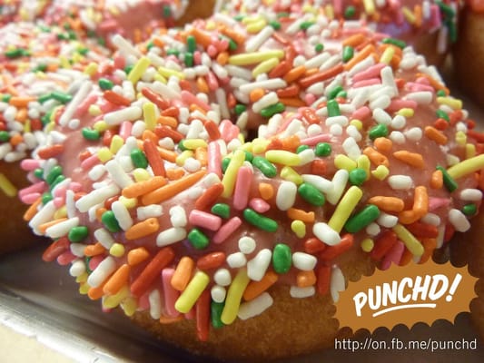 SloDoCo Donuts by null