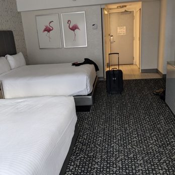 Flamingo Las Vegas - Hotels Near Me - Las Vegas, Nevada Flamingo Las Vegas - Hotels Near Me - Las Vegas, Nevada