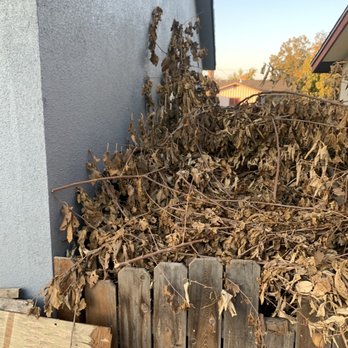 We Haul Junk Removal - Tree trash - Junk Removal & Hauling Near Me