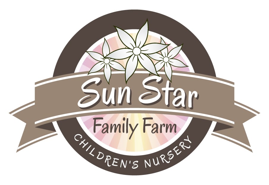 Sun Star Farm Preschool And Kindergarten - childcare center in Apex, NC
