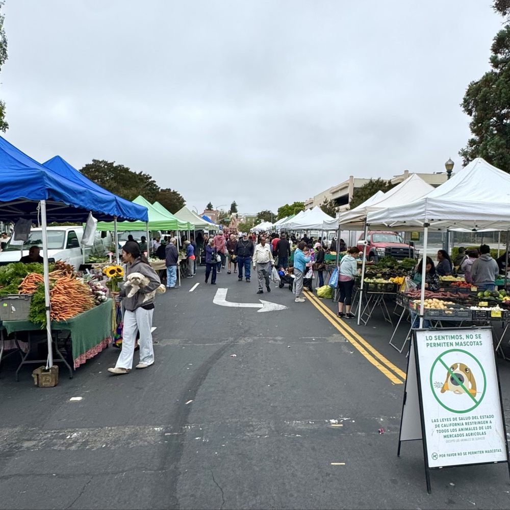 TOP 10 BEST Mushroom Farm in Hayward, CA - Updated 2026 - Yelp