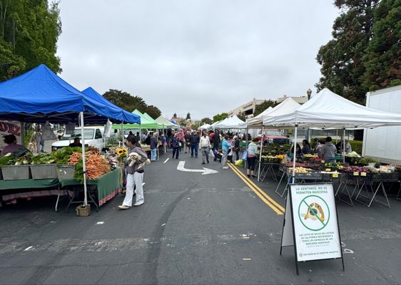 Hayward Farmers Market by null