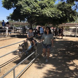 This side you walk the pony. This side you walk the pony.