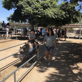 Irvine Regional Park Pony Ride - This side you walk the pony. - Horseback Riding Near Me - Orange, California Irvine Regional Park Pony Ride - This side you walk the pony. - Horseback Riding Near Me - Orange, California