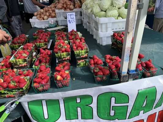 Newark Farmers Market by null