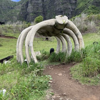 Kualoa Ranch - Tours Near Me - Kaneohe, Hawaii Kualoa Ranch - Tours Near Me - Kaneohe, Hawaii