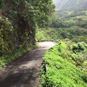 Waipio Valley Wagon Tours - The only road in/out of the valley. - Tours Near Me Waipio Valley Wagon Tours - The only road in/out of the valley. - Tours Near Me