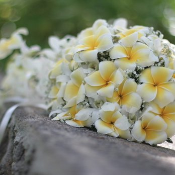 J.R. Florist - Florists Near Me - Elmsford, New York J.R. Florist - Florists Near Me - Elmsford, New York